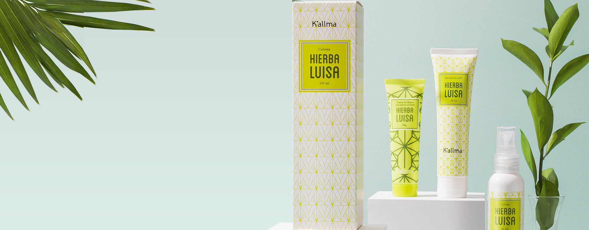 Hierba Luisa