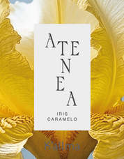 Colonia Premium Atenea 200ml