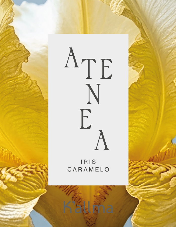 Colonia Premium Atenea 200ml