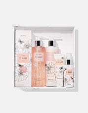 Pack Corporal Premium