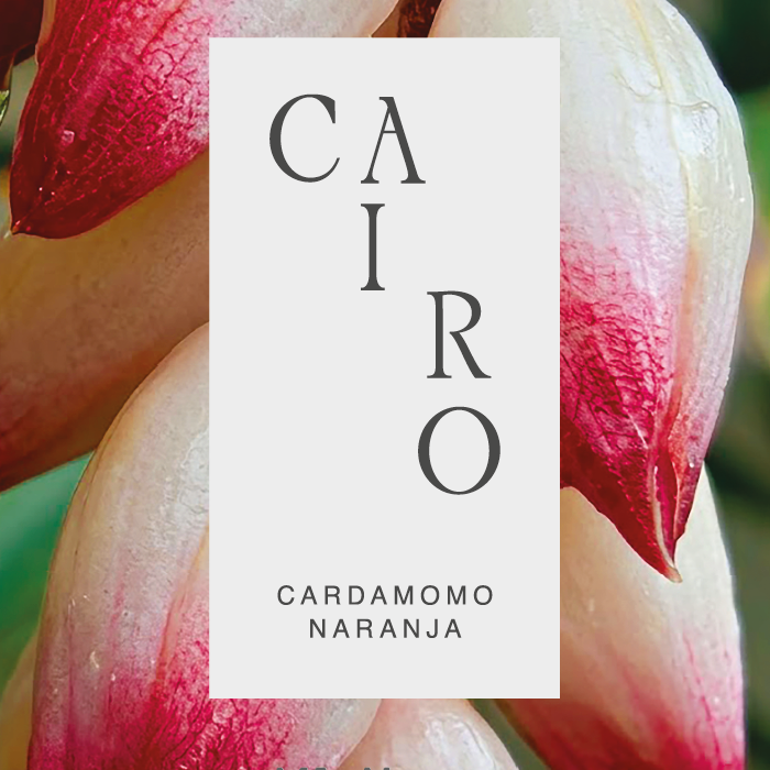 Cairo.png