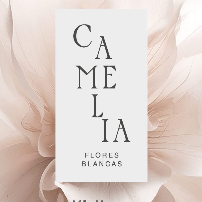 Camelia.png
