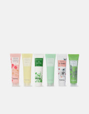 Pack Cremas de Manos x 6