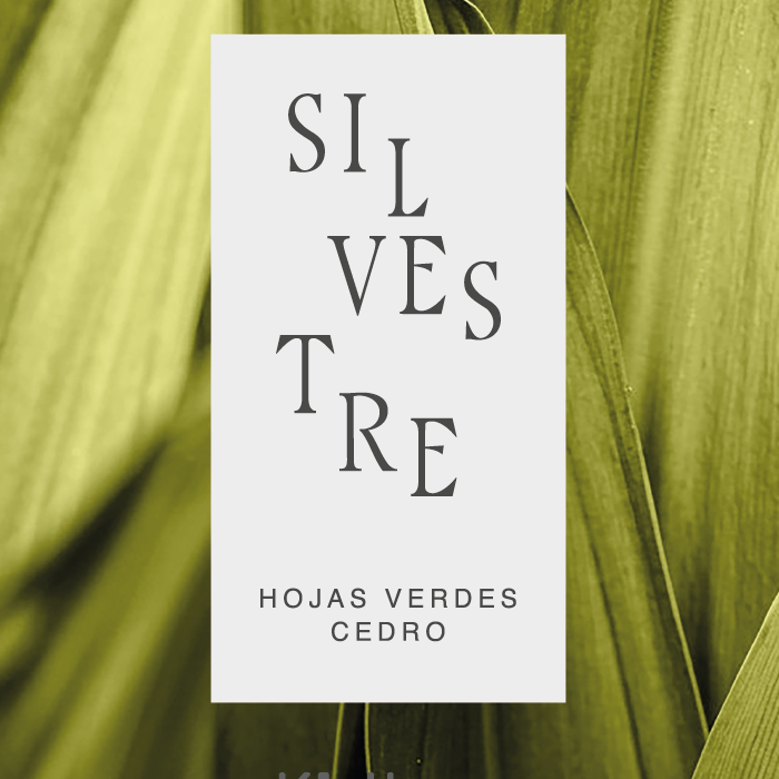 Silvestre.png