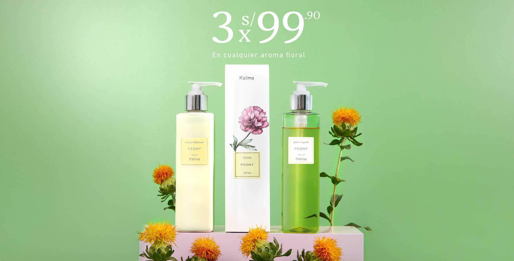 banners-florece_2025-11.jpg