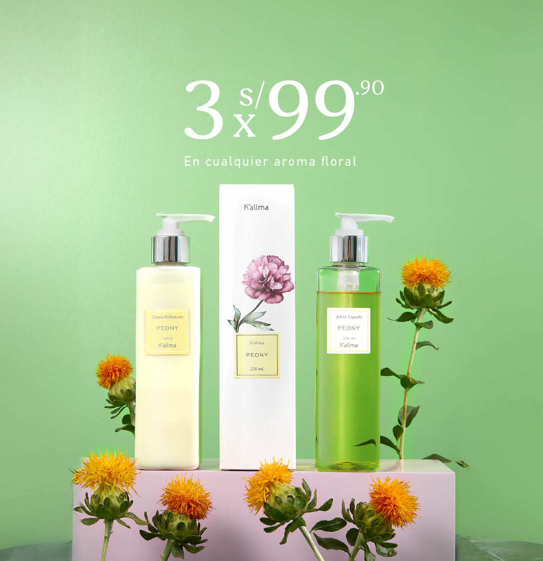 banners-florece_2025-9_7b49b37c-8a1c-4dba-ba30-61c70ff7902e.jpg