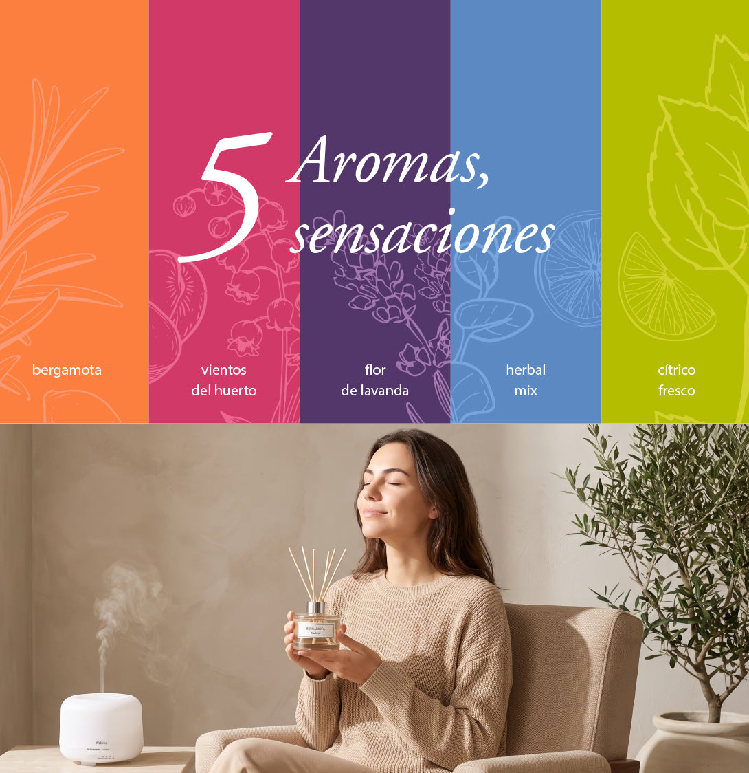 banners_5-aromas-2.jpg